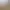 Dirt 4 header image