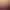 I am your Beast header image