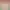 Mineko's Night Market header image