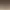 Dead Rising Deluxe Remaster header image