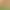 Roots of Pacha header image