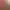 Wild Hearts header image