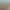Planet Coaster 2 header image
