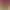 Beacon Pines header image