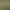 Tree of Savior header image
