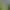 Botany Manor header image