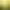 Braid: Anniversary Edition header image