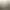 Bellwright header image