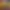 Street Fighter 6 header image