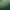 Ori and the Blind Forest header image
