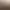 Total War: Pharaoh header image
