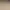 Creature Keeper header image