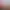 Goat Simulator 3 header image