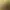 Metal Gear Survive header image
