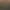 Disco Elysium