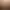 Disco Elysium header image