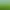 Cat Quest II header image