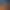 Survival: Fountain of Youth header image