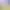 Rune Factory: Guardians of Azuma header image