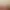 Inkulinati header image
