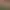 New Pokémon Snap header image