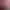 Dystopika header image