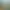Pikmin 4 header image