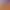 Dropsy header image