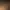 Starship Troopers: Extermination header image