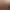 Destiny header image