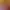 Yakuza: Like a Dragon header image