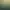 Elden Ring header image