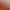 Falcon Age header image