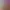 Scarlet Nexus header image