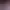 Bo: Path of the Teal Lotus header image