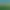 Paleo Pines header image