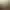 Draugen header image