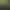 Turok